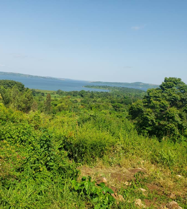 WhatsApp Image 2022-06-04 at 8.52.18 PM.jpeg